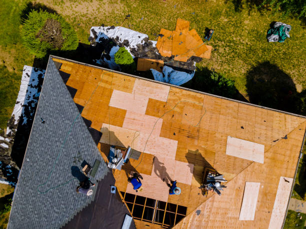 Best Storm Damage Roof Repair  in Palmetto, GA