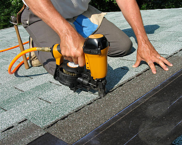 Best Roof Gutter Cleaning  in Palmetto, GA