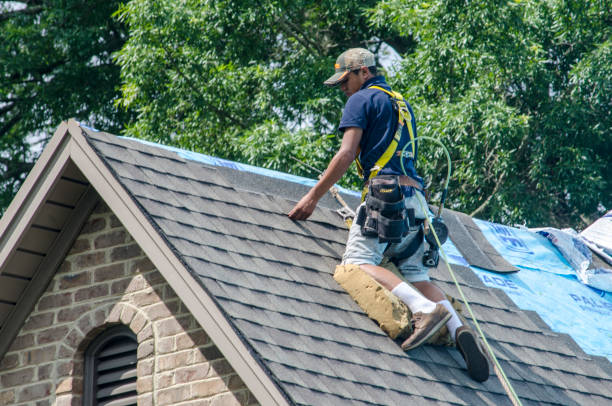 Roof Waterproofing Services in Palmetto, GA